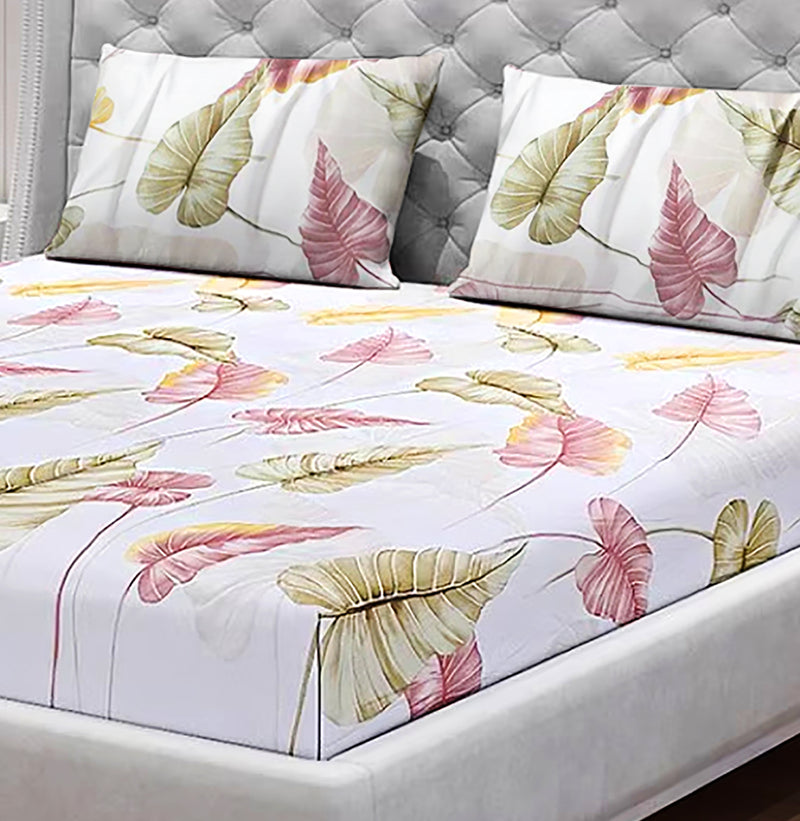 Oasis Home Collection  Cotton Bedsheet - Rasmar -1 Bedsheet With 2 pillow covers